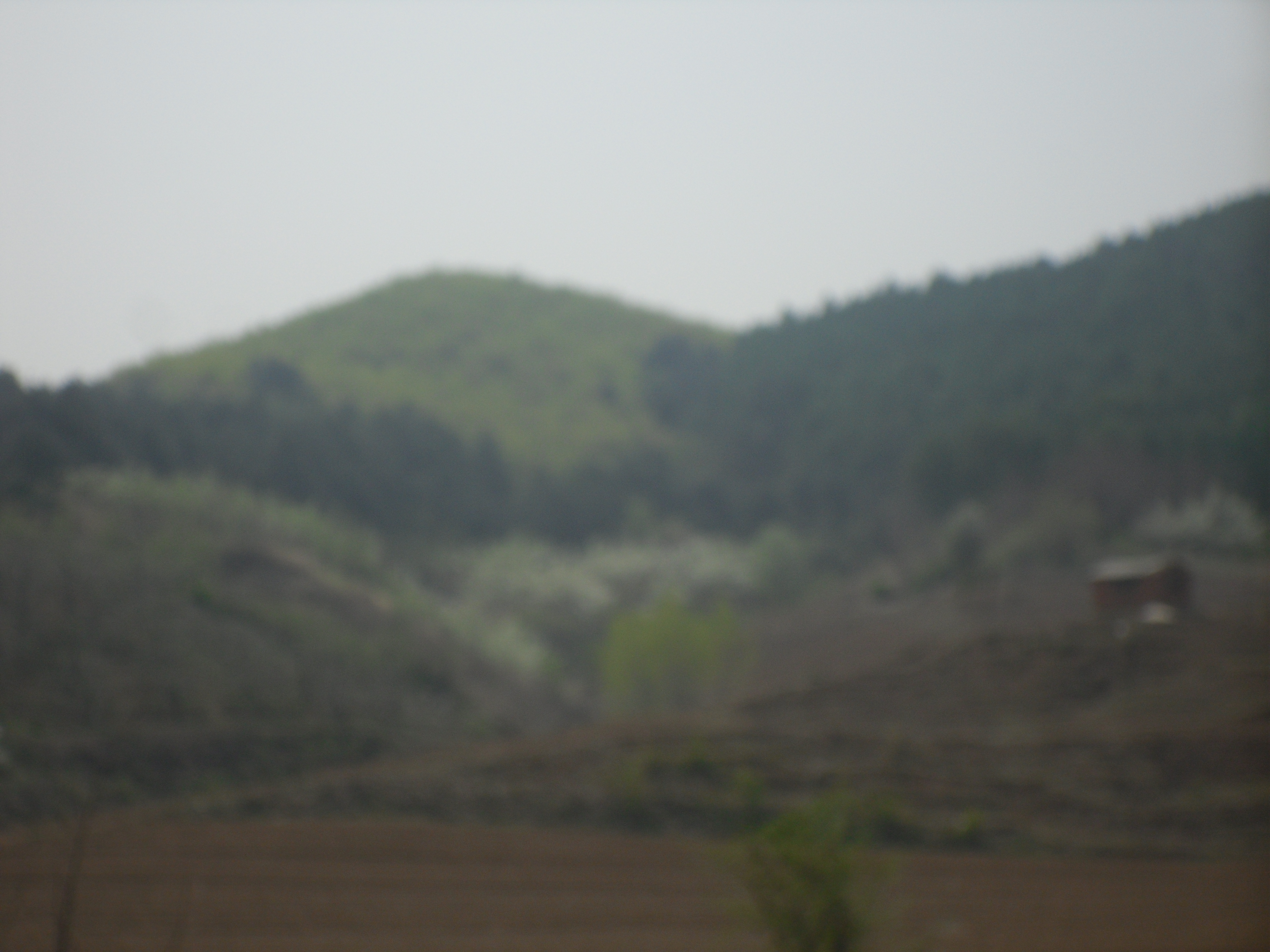 6̖(ho) в(zhn)ɽʹÙ(qun)Ϲ(sh)