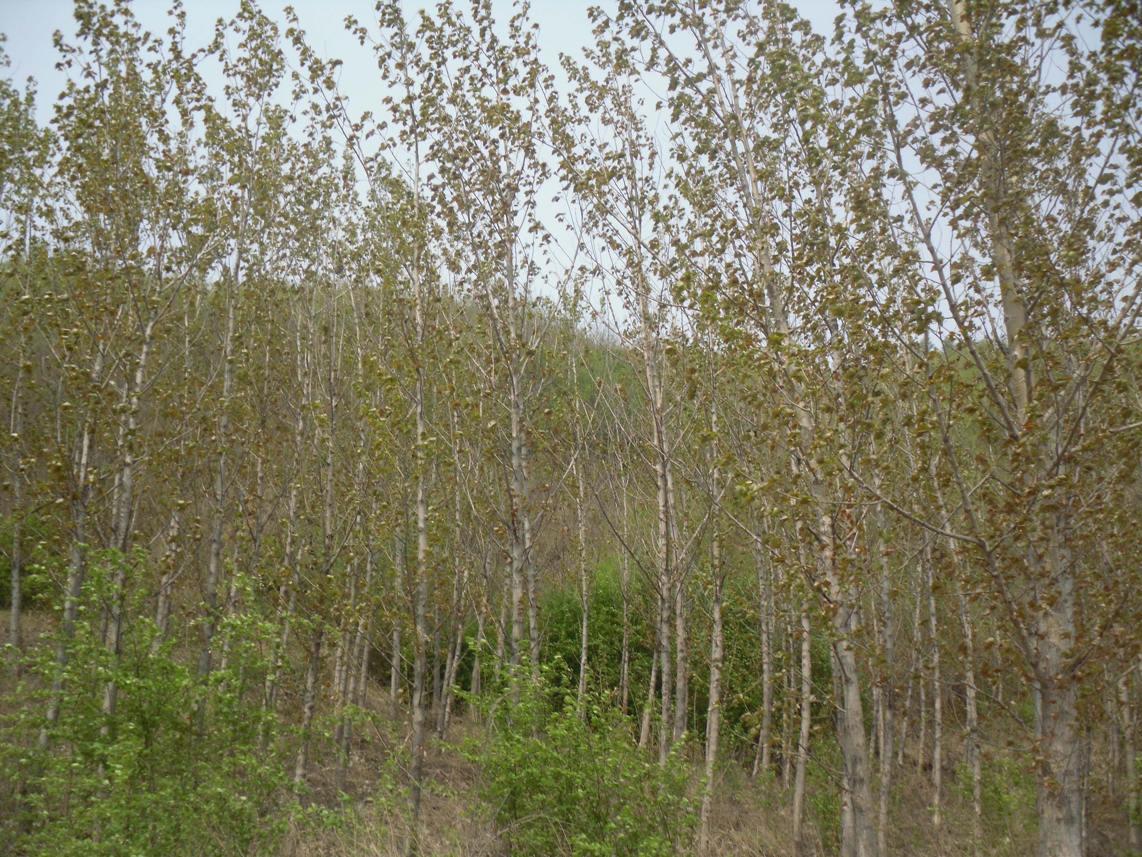 7̖(ho) в(zhn)ӻɽɽʹÙ(qun)ϴ̻