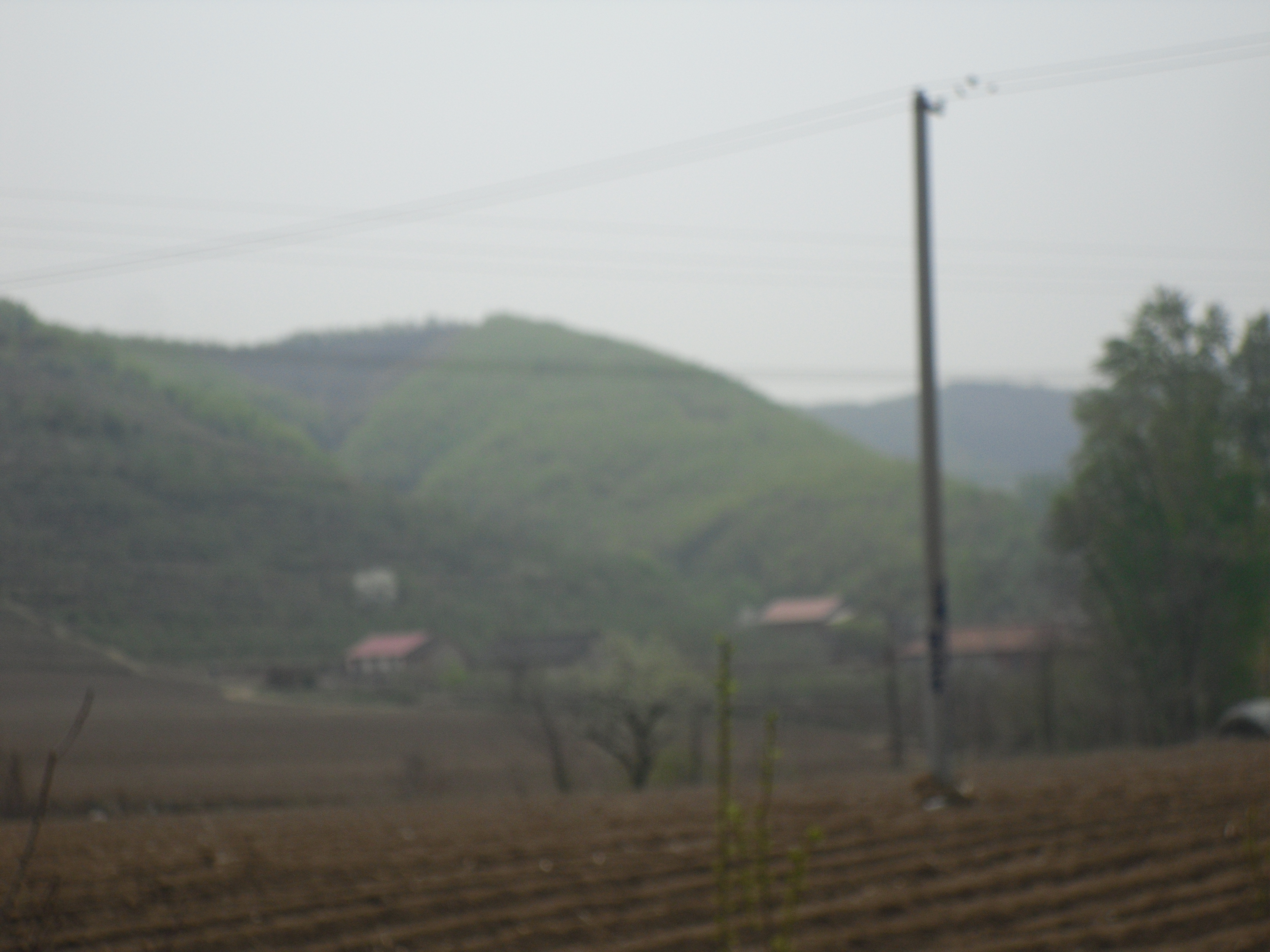 5̖(ho) в(zhn)ɽ(chng)а(qun)