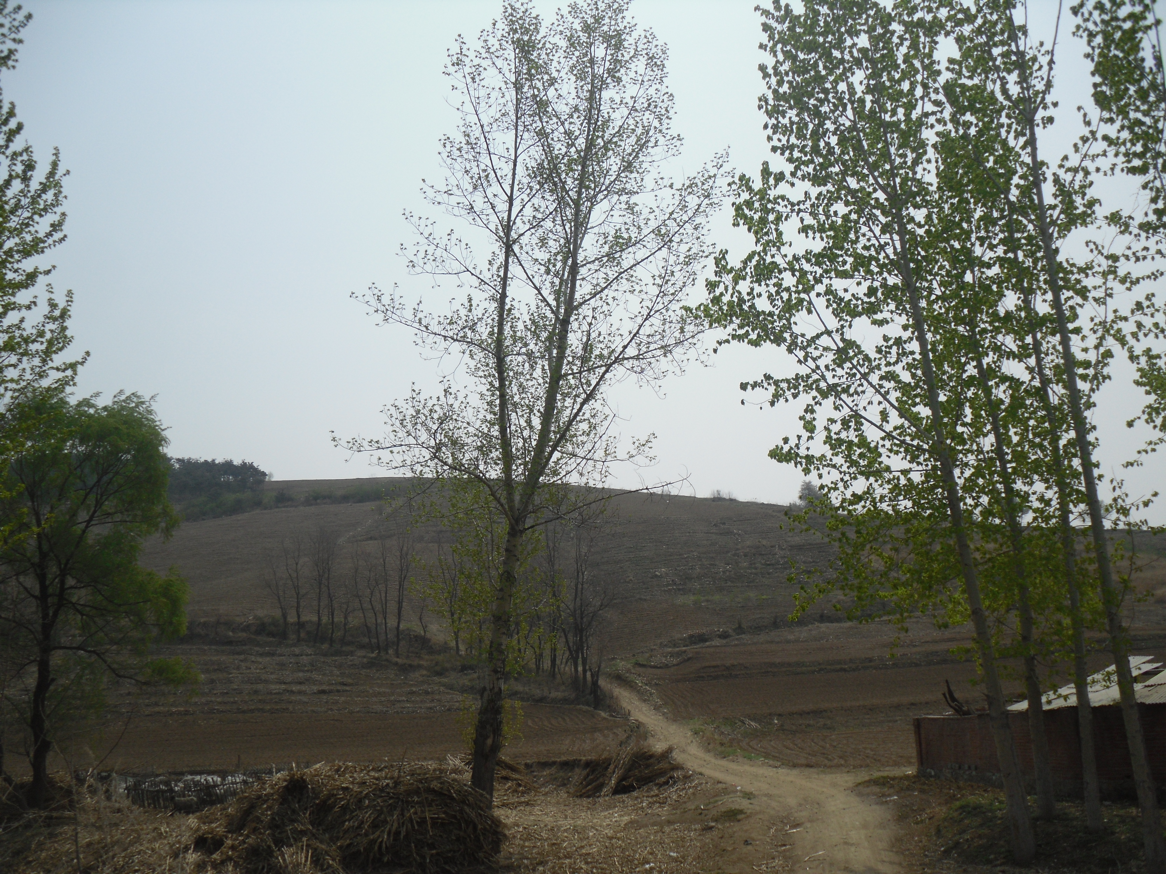 8̖(ho) в(zhn)ʹ3MɽɽϸʹÙ(qun)