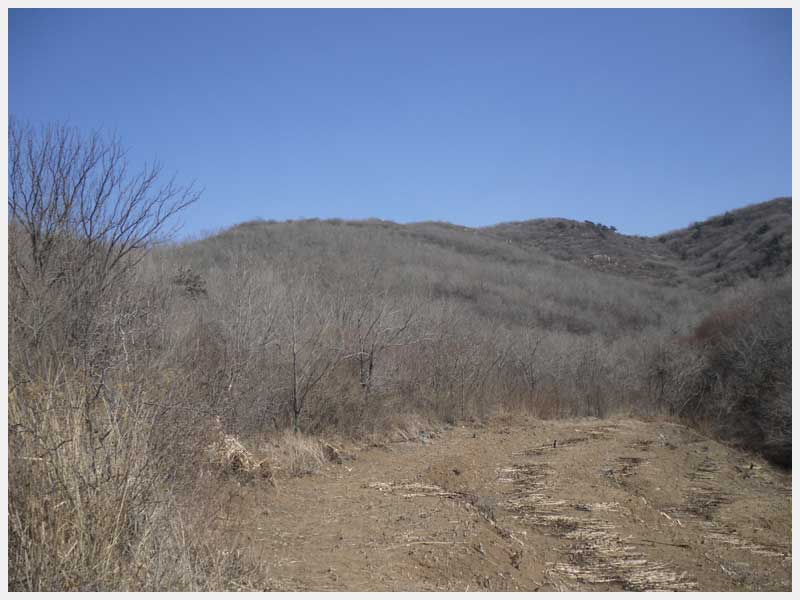 27̖(ho) ë(zhn)ë֙(qun)