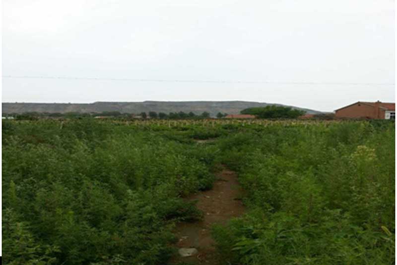 31̖(ho) ɽǧɽ^(q)Ƽҷ(zhn)W(xu)C(j)(dng)ʹÙ(qun)